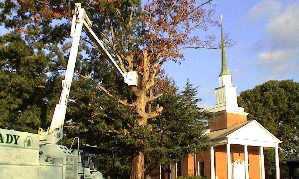 Frady Tree Care