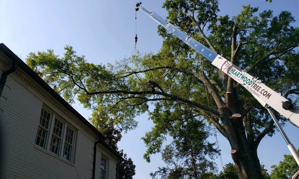 Heartwood Tree Service