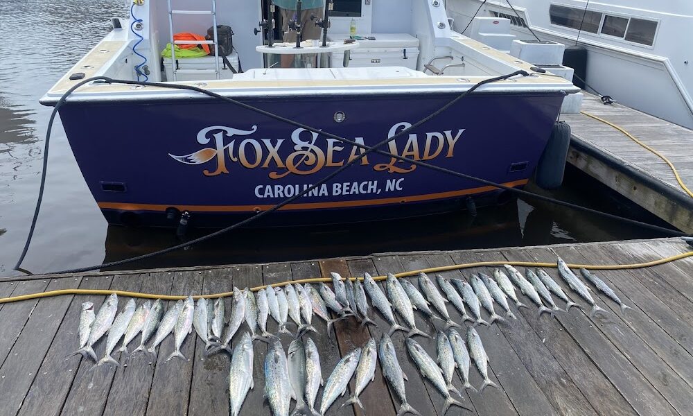 FoxSea Lady Charters