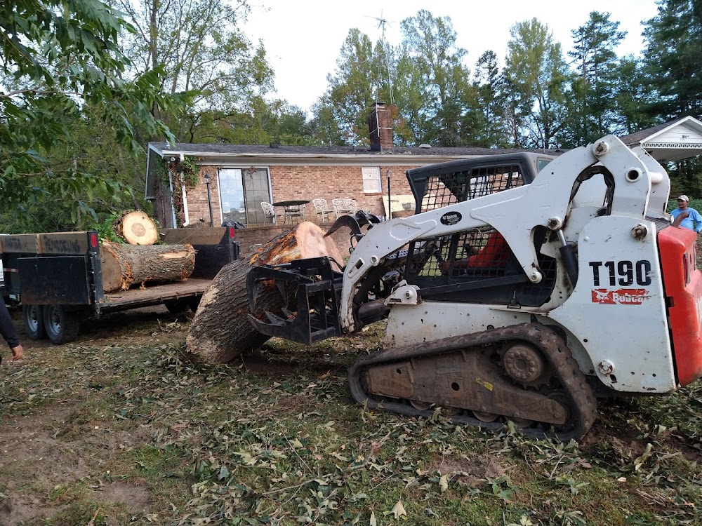 Brother tree service