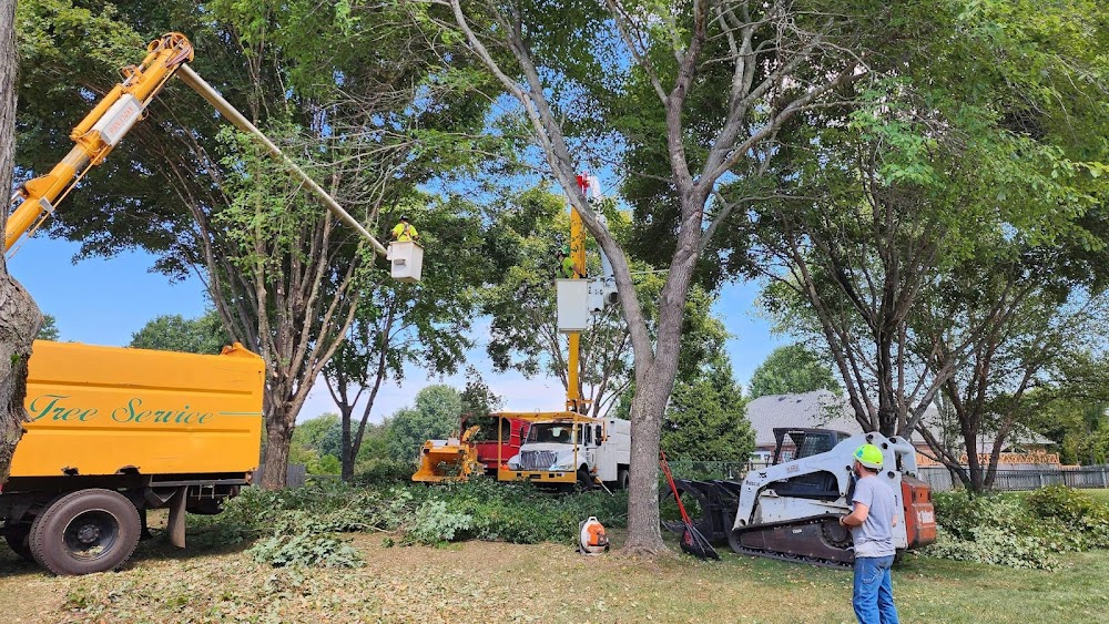 Canopy Tree Service