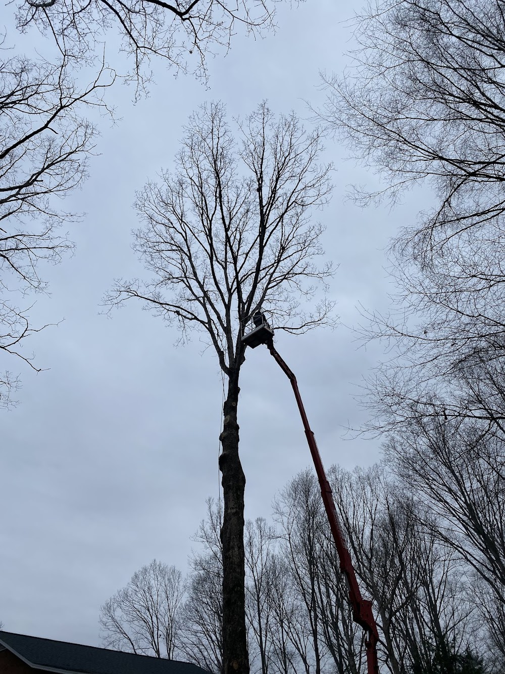 Crissman Tree Service