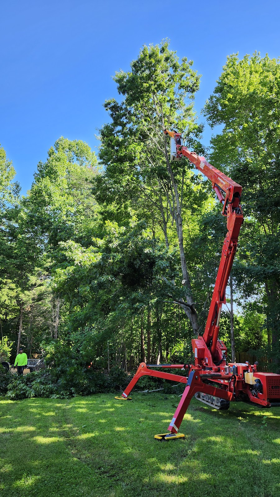 Highlander Tree service LLC