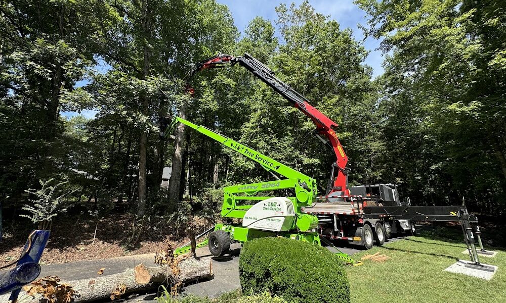 L & T Tree Service