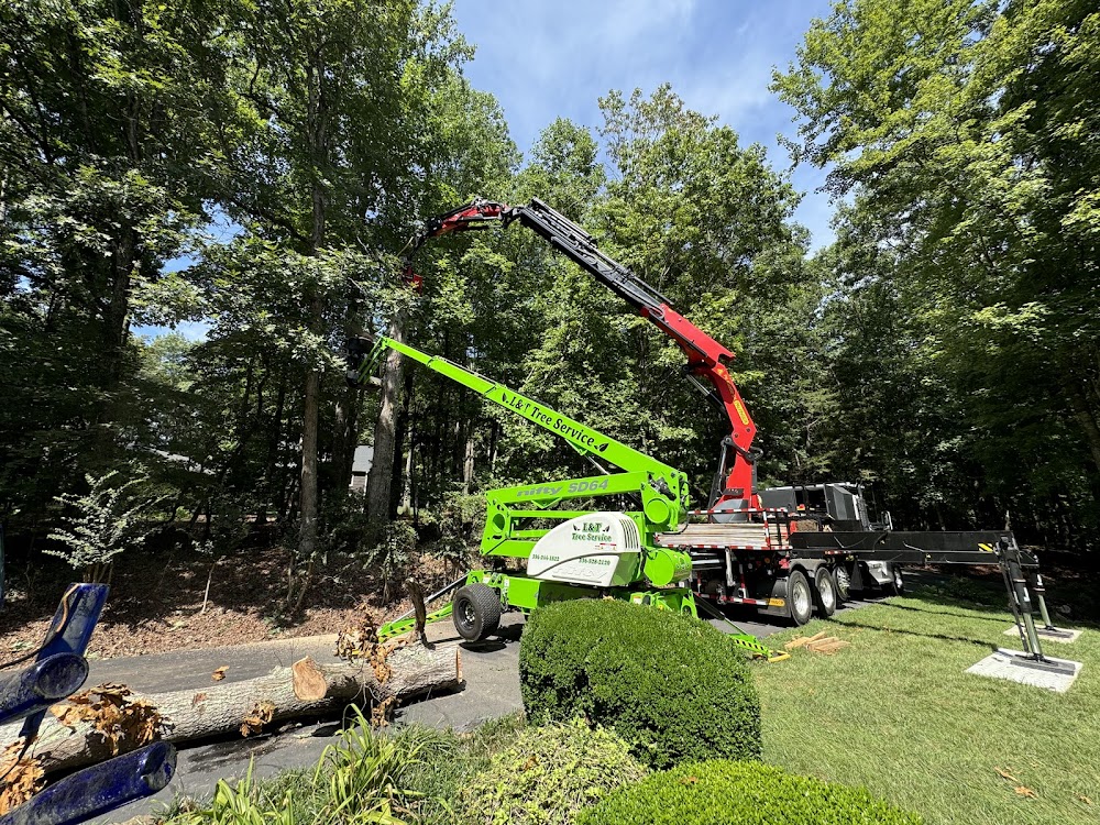 L & T Tree Service