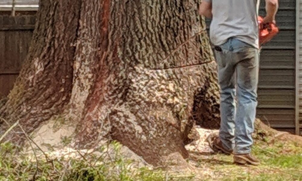 Nate’s Tree Service, Inc.