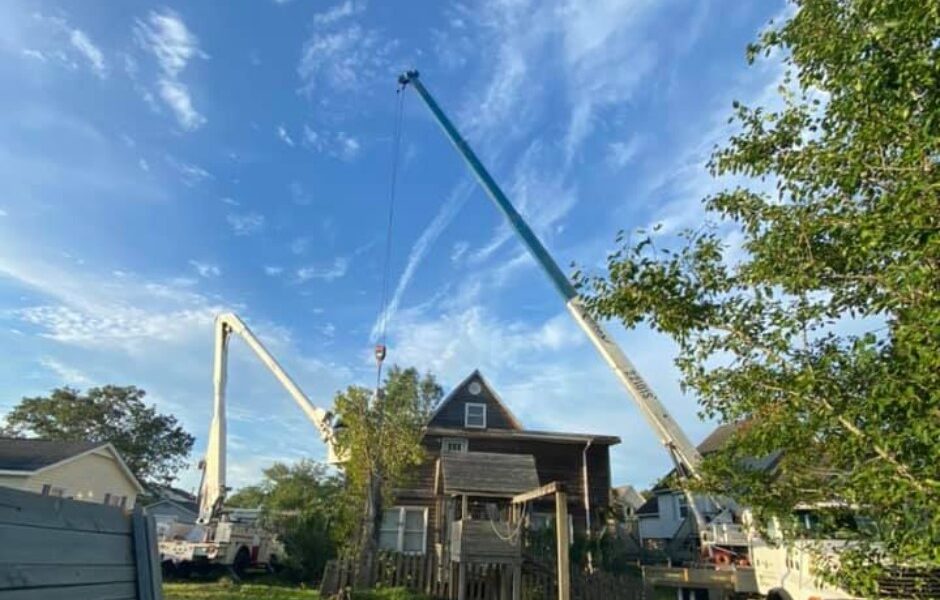 Outdoor Exposure Tree Service