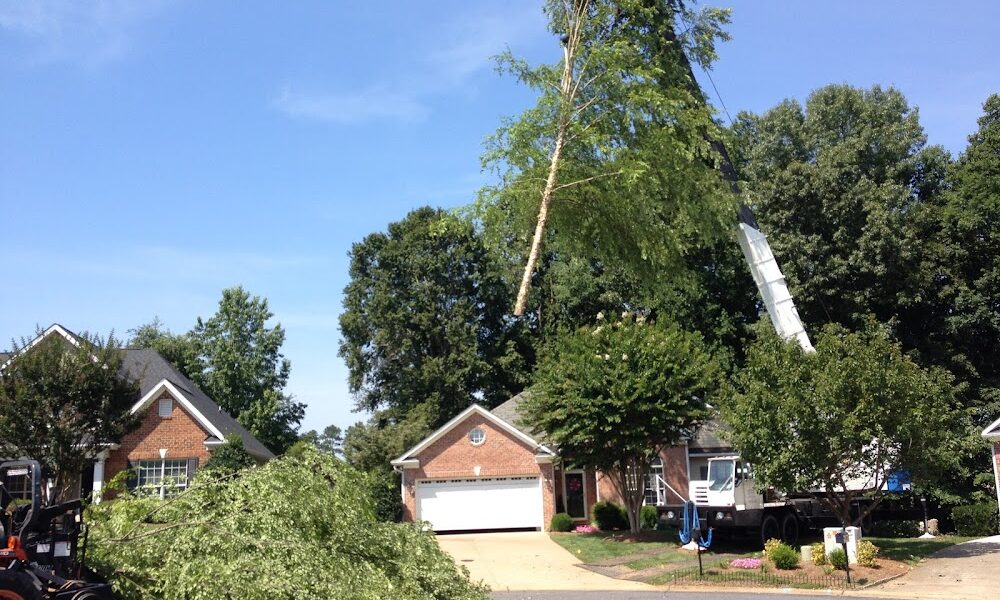 Randleman’s Tree Service