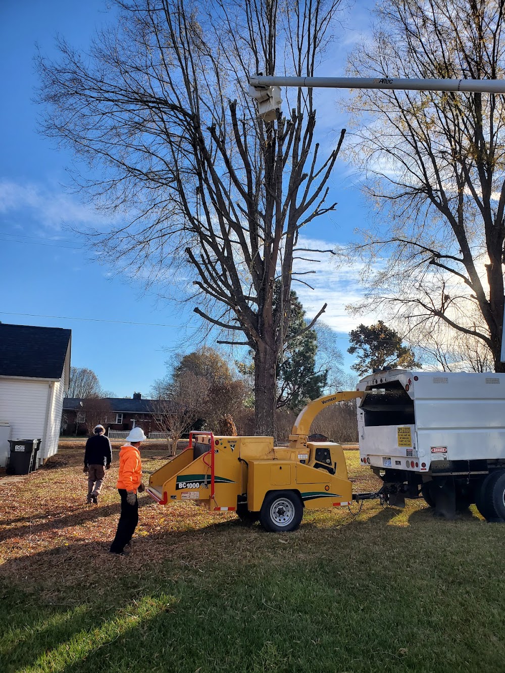 Teo Tree service