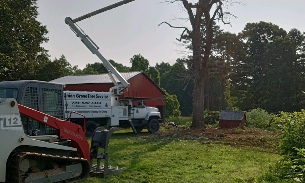 Union Grove Tree Service