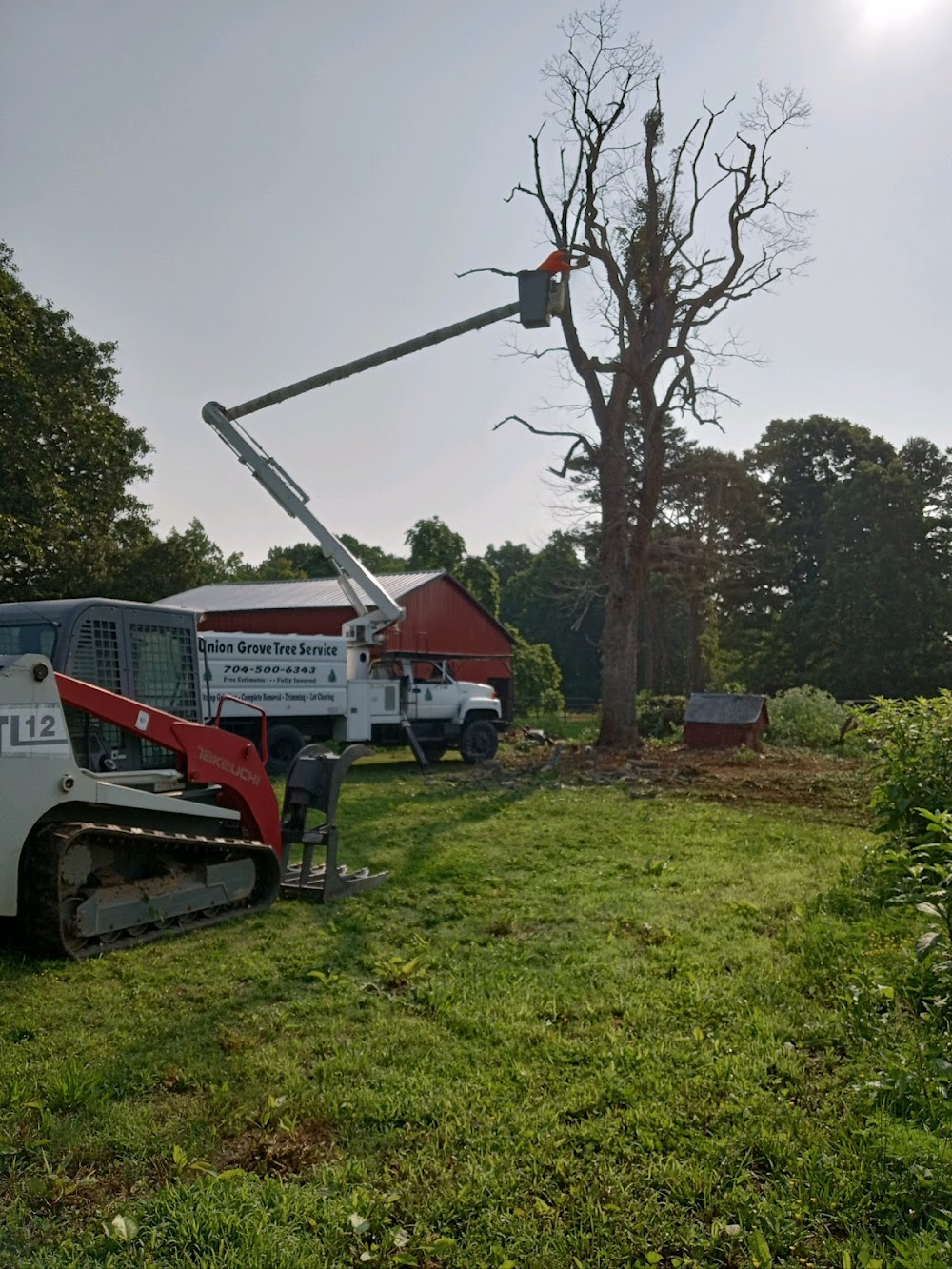 Union Grove Tree Service