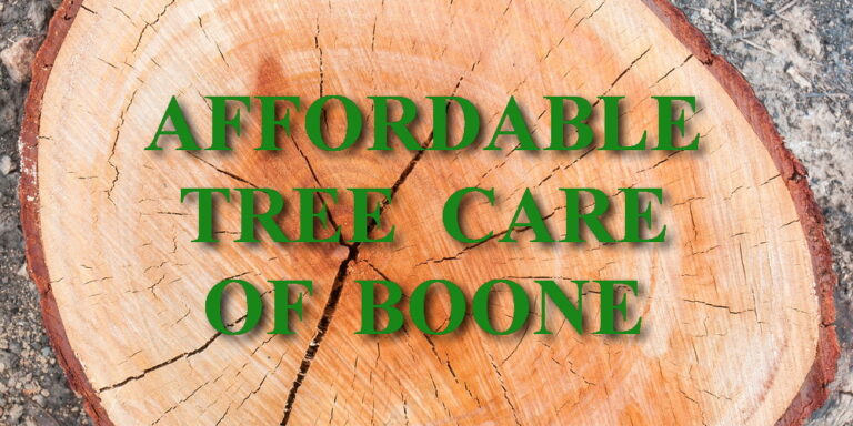 Affordable Tree Care of Boone